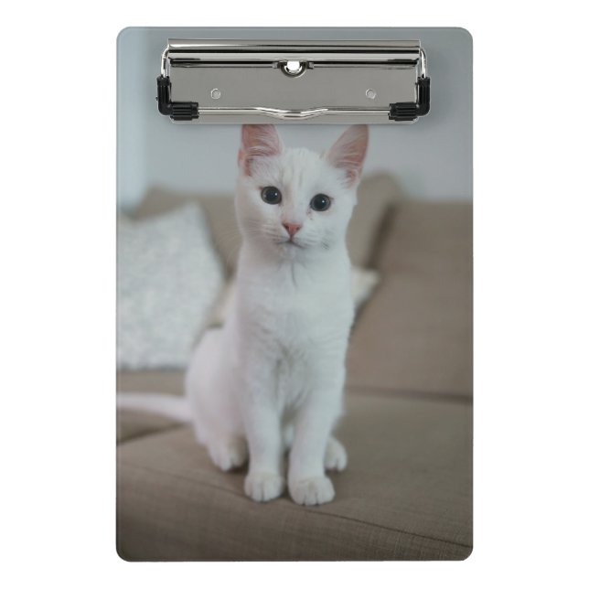 Weiße Katze | Zazzle_Growshop. Mini Klemmbrett (Vorderseite)