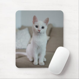 Weiße Katze | Zazzle_Growshop. Mousepad