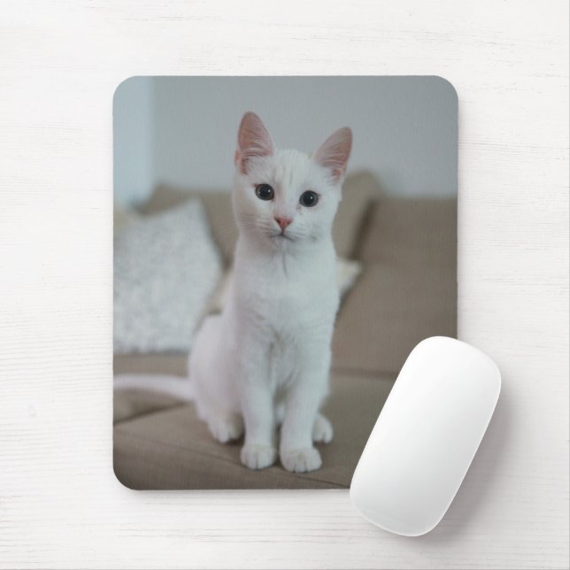 Weiße Katze | Zazzle_Growshop. Mousepad (Mit Mouse)