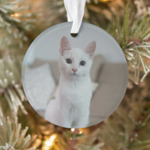 Weiße Katze Zazzle_Growshop. Ornament