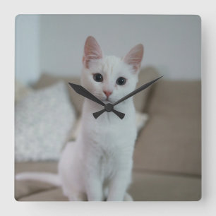 Weiße Katze Zazzle_Growshop. Quadratische Wanduhr