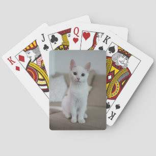 Weiße Katze   Zazzle_Growshop. Spielkarten