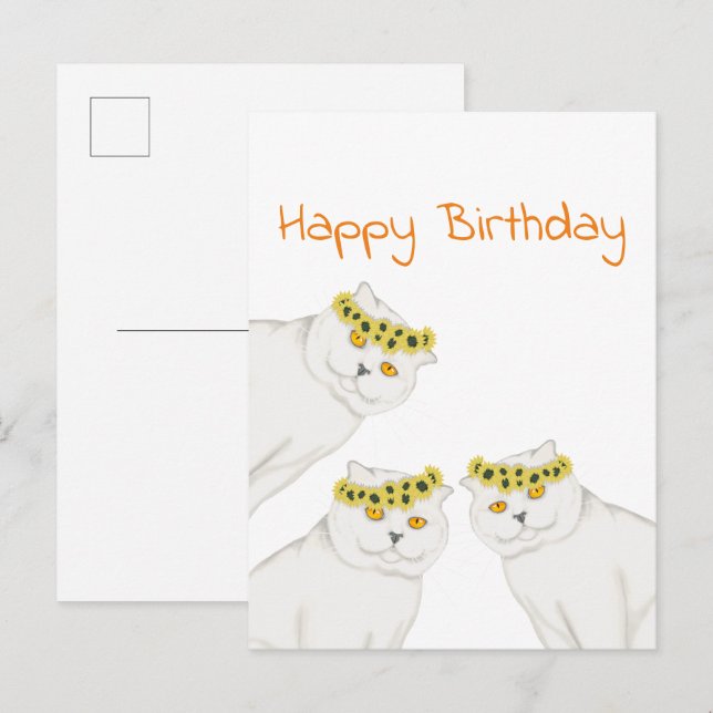 Weiße Katzen Happy Birthday Postkarte (Vorne/Hinten)