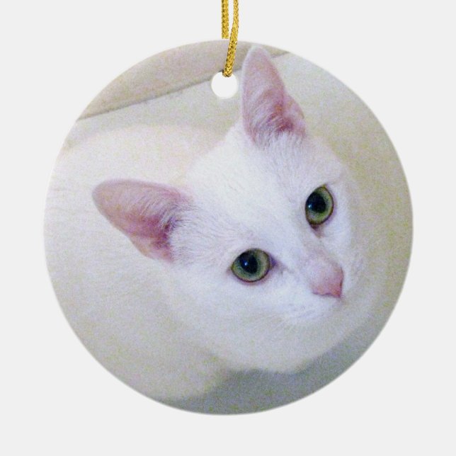Weiße Katzen-Verzierung Keramik Ornament (Vorne)