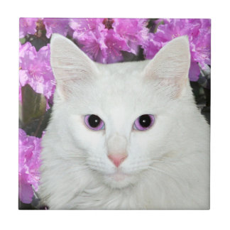 Weiße Katzengesichtsfliese Fliese