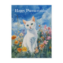 Weiße Katzenüberquerung - Postkarte