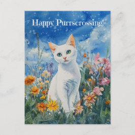 Weiße Katzenüberquerung - Postkarte