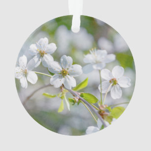 Weiße Kirschblüte Ornament