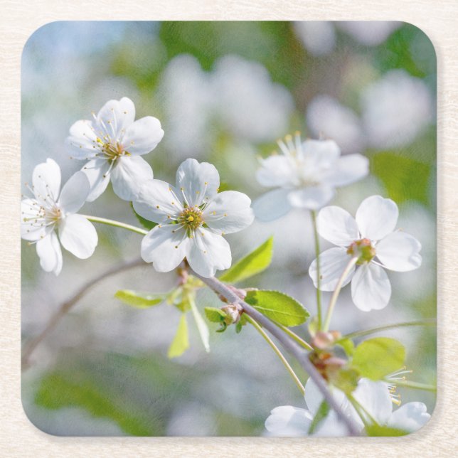 Weiße Kirschblüte Rechteckiger Pappuntersetzer (Vorderseite)