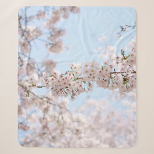 Weiße Kirschblüte unter blauem Himmel im m Sherpadecke