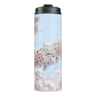 Weiße Kirschblüte unter blauem Himmel im m Thermosbecher