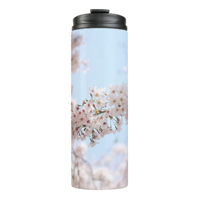 Weiße Kirschblüte unter blauem Himmel im m Thermosbecher (Vorderseite)