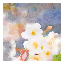 Weiße Kirsche blüht digitale Aquarellmalerei