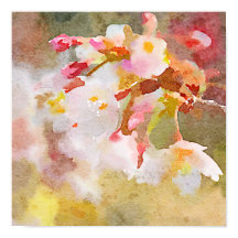 Weiße Kirsche blüht digitale Aquarellmalerei