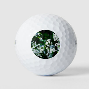 Weiße Kirsche blüht grüne Blätter Golfball