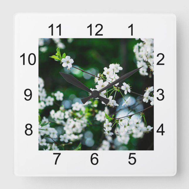 Weiße Kirsche blüht grüne Blätter Quadratische Wanduhr (Vorderseite)