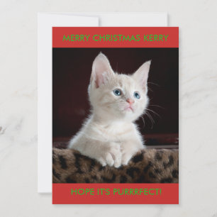 WEISSE KITTEN PERSONALISIERT FEIERTAGSKARTE