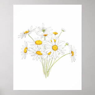 weiße kleine Gänseblümchen Bouquet-Blume Aquarell Poster