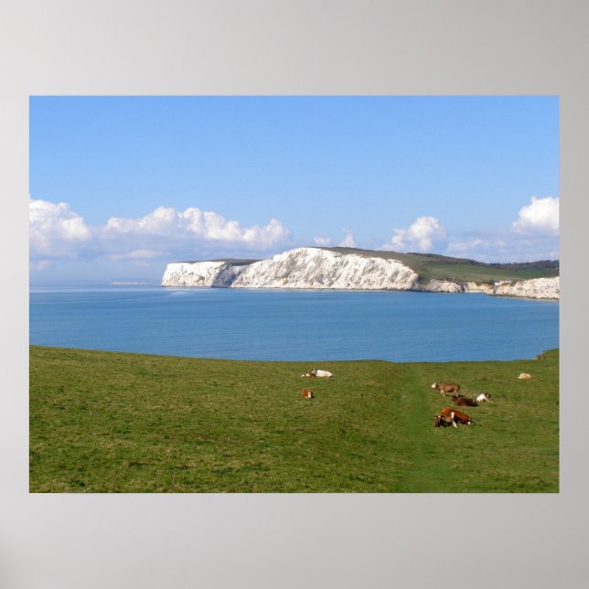 Weiße Klippen der Isle of Wight Poster (Vorne)