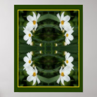 Weiße Kosmos-Blume und Abstrakte Biene