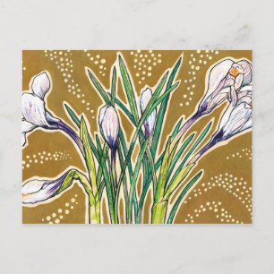 Weiße Krokusse Gartenblumen Botanische Blumenkunst Postkarte