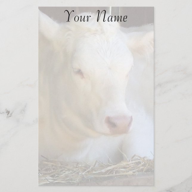 Weiße Kuh Briefpapier (Vorderseite)