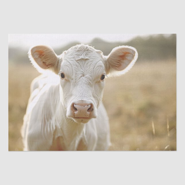Weiße Kuh in der Dekoupage des landwirtschaftliche Seidenpapier (Vorderseite)