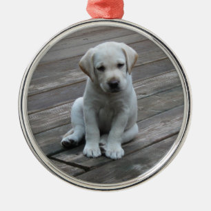 Weiße Labrador Silbernes Ornament