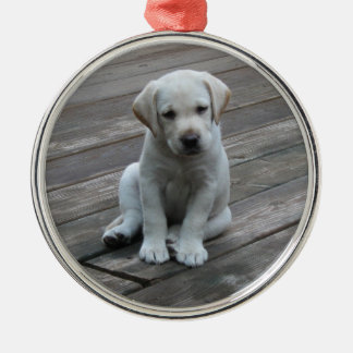 Weiße Labrador Silbernes Ornament