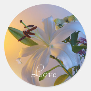 Weiße Lilie, Blume. Runder Aufkleber