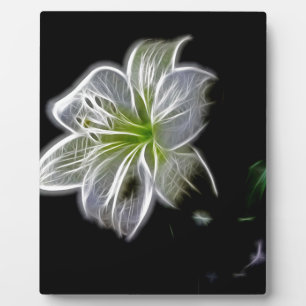 Weiße Lilie Blume Schönheit Fotoplatte