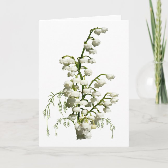Weiße Lilie der Blume Karte (Vorderseite)