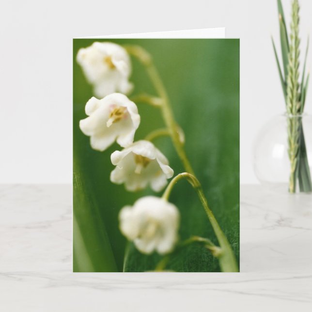 Weiße Lilie des Tals (Convallaria majalis) Karte (Vorderseite)