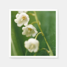 Weiße Lilie des Tals (Convallaria majalis)