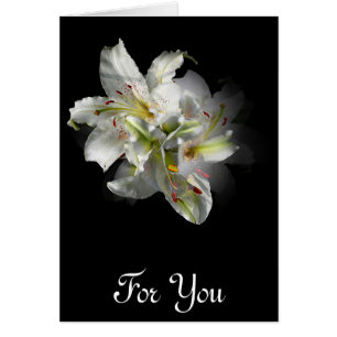 Weiße Lilien-Fantasie