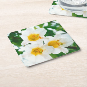 Weiße Lilien - Lilienblume Lilium candidum Rechteckiger Pappuntersetzer