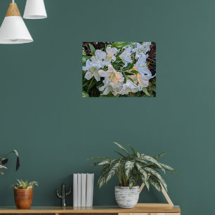 Weiße Lilienblüten florales fotografisches Poster