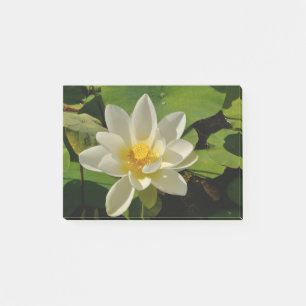 Weiße Lotusblüten in einem Teich Post-it Klebezettel