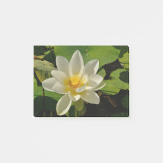 Weiße Lotusblüten in einem Teich Post-it Klebezettel