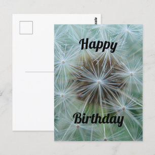 Weiße Löwenzahn-Postkarte Postkarte