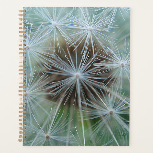 Weiße Lüster Planer (Vorderseite)