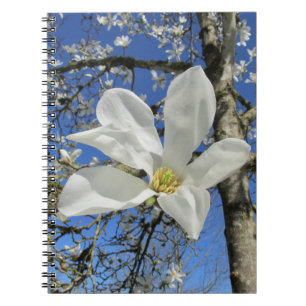 Weiße Magnolia-Blume in Bäumen. Notizblock