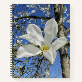 Weiße Magnolia-Blume in Bäumen. Notizbuch