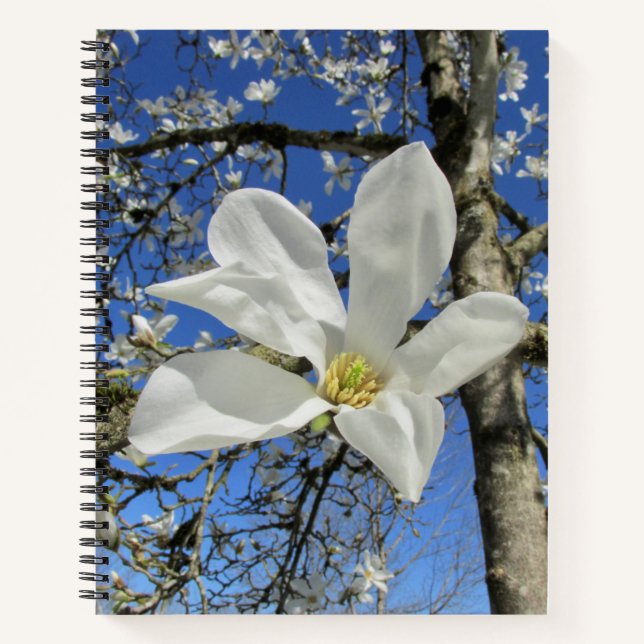 Weiße Magnolia-Blume in Bäumen. Notizbuch (Vorderseite)