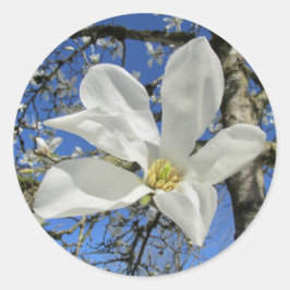 Weiße Magnolia-Blume in Bäumen. Runder Aufkleber