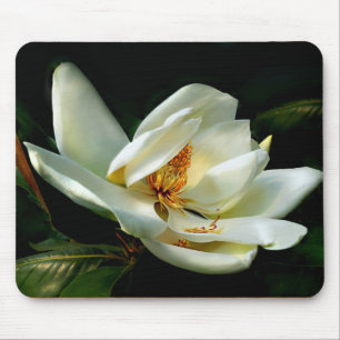 Weiße Magnolie auf Grün Mousepad
