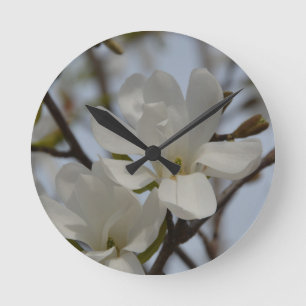 Weiße Magnolie, die im Früjahr blüht Runde Wanduhr