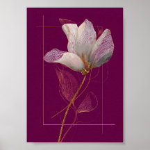 Weiße Magnolie Goldlinien Magenta