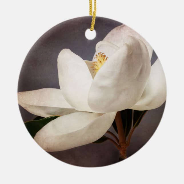 Weiße Magnolien Blume Blumenkohl Blume Grau Keramik Ornament (Vorne)