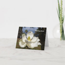 Weiße Magnolien-Blume sagt das Denken an Sie Karte